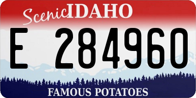 ID license plate E284960