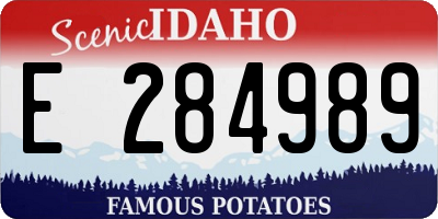 ID license plate E284989