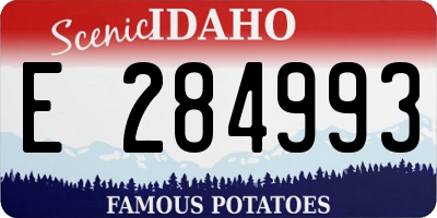 ID license plate E284993