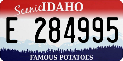 ID license plate E284995