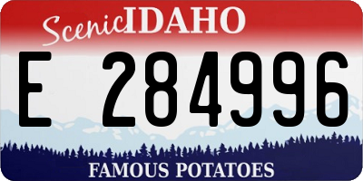ID license plate E284996