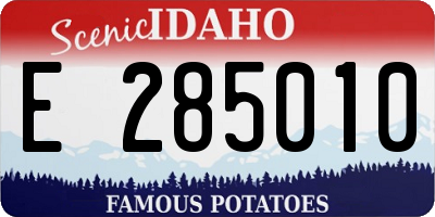 ID license plate E285010