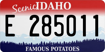 ID license plate E285011