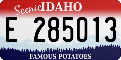 ID license plate E285013