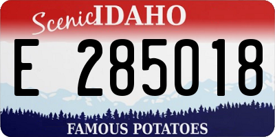 ID license plate E285018