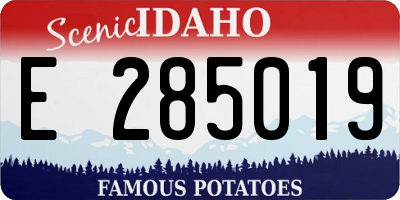 ID license plate E285019