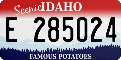 ID license plate E285024