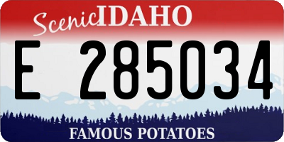 ID license plate E285034