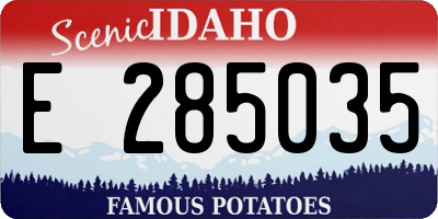 ID license plate E285035
