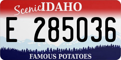 ID license plate E285036