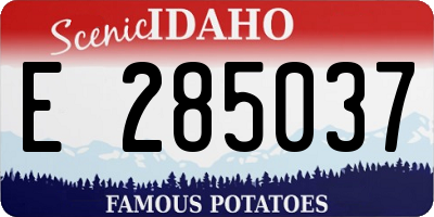 ID license plate E285037