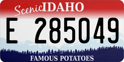 ID license plate E285049