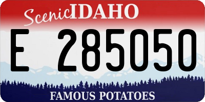 ID license plate E285050