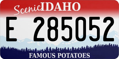ID license plate E285052
