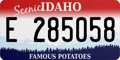 ID license plate E285058
