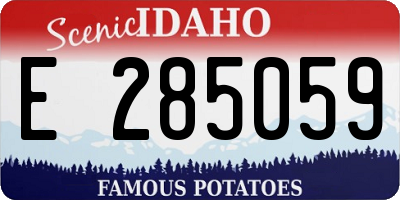 ID license plate E285059
