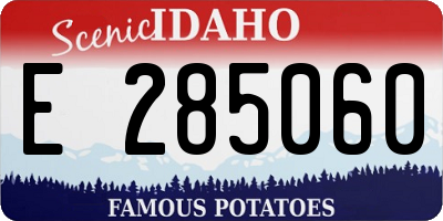 ID license plate E285060