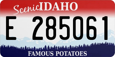 ID license plate E285061