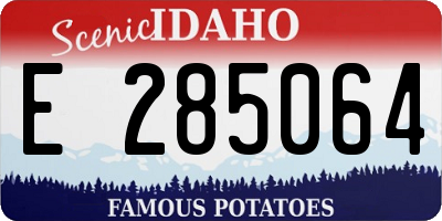 ID license plate E285064