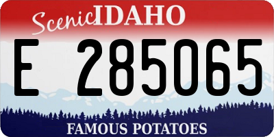 ID license plate E285065