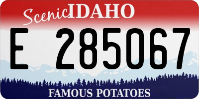 ID license plate E285067