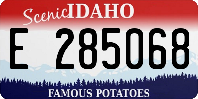 ID license plate E285068