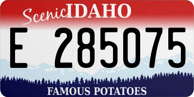 ID license plate E285075
