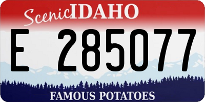 ID license plate E285077