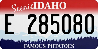 ID license plate E285080