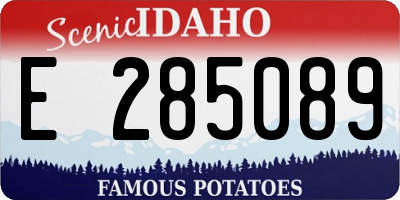 ID license plate E285089