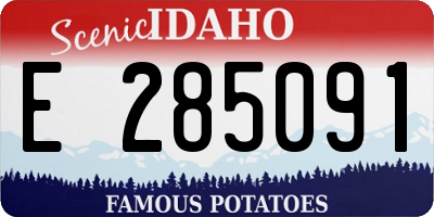 ID license plate E285091