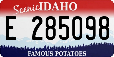 ID license plate E285098