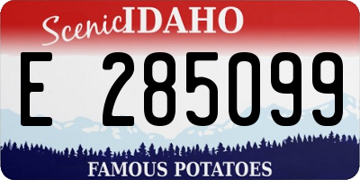 ID license plate E285099