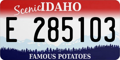 ID license plate E285103