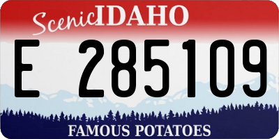 ID license plate E285109