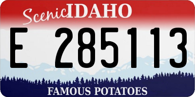 ID license plate E285113