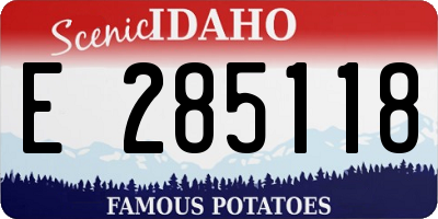 ID license plate E285118