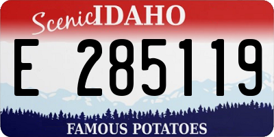 ID license plate E285119