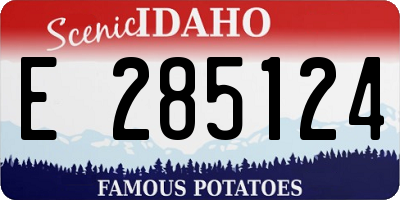 ID license plate E285124