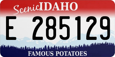 ID license plate E285129