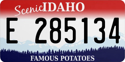 ID license plate E285134
