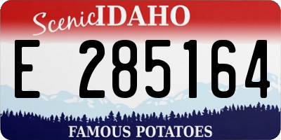 ID license plate E285164