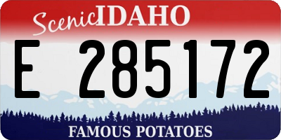 ID license plate E285172