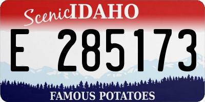 ID license plate E285173