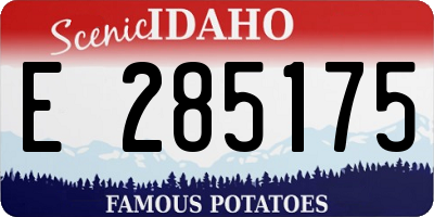 ID license plate E285175