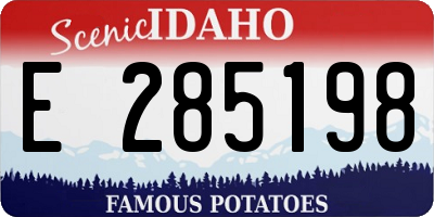 ID license plate E285198