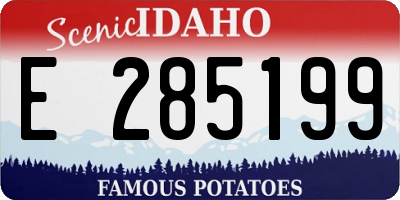 ID license plate E285199