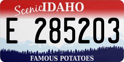 ID license plate E285203