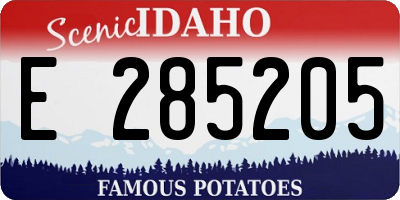 ID license plate E285205