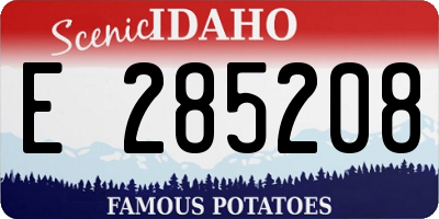 ID license plate E285208